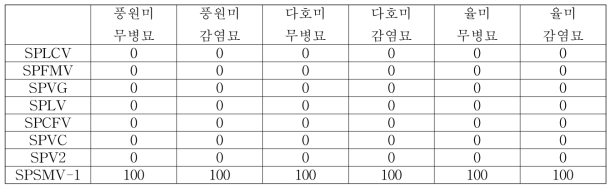 삽식 전 바이러스 무병묘 바이러스 검정 결과