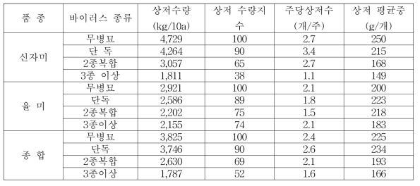 바이러스 감염종류별 고구마 수량 및 수량구성 요소(2019)