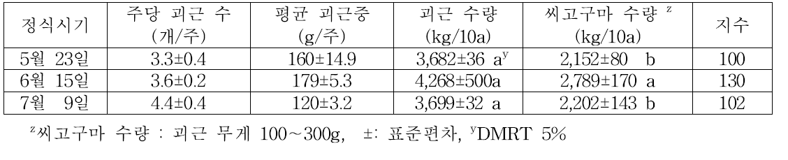 ’진홍미‘ 품종의 바이러스 무병묘 정식시기별 괴근 및 씨고구마 수량