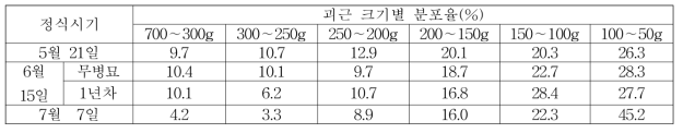 ‘진홍미’ 품종의 바이러스 무병묘 정식시기별 괴근 크기별 분포율