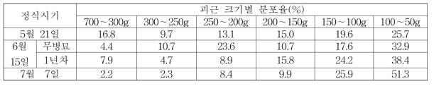 ‘풍원미’ 품종의 바이러스 무병묘 정식시기별 괴근 크기별 분포율