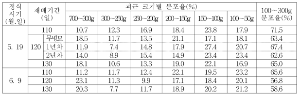 ‘신율미’ 품종의 정식시기 및 재배기간에 따른 괴근 크기별 분포율