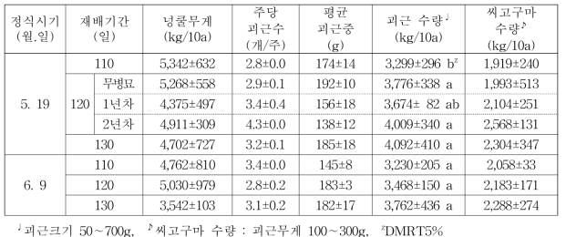 ‘호감미’ 품종의 바이러스 무병묘 정식시기 및 재배기간에 따른 괴근 및 씨고구마 수량