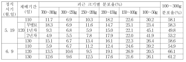 정식시기 및 재배기간에 따른 괴근 크기별 분포율