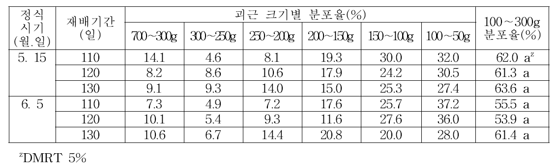 ‘신율미’ 품종의 바이러스 무병묘 정식시기 및 재배기간에 따른 괴근 크기별 분포율