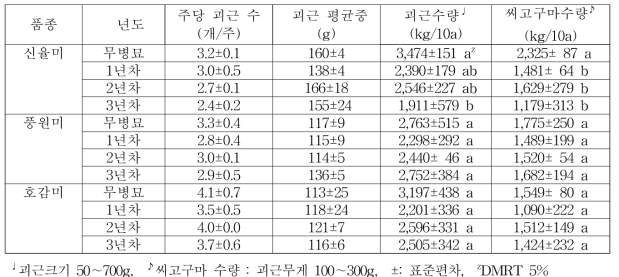 바이러스 무병묘와 년차별 무병씨고구마의 괴근 수량