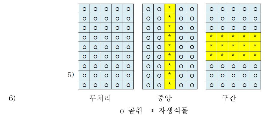 곰취(다목이)와 부작물의 혼식 방법(2015)