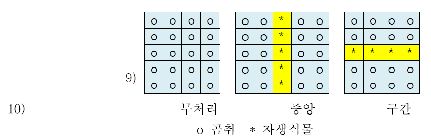 곰취(다목이)와 부작물의 혼식 방법(2017-2018)