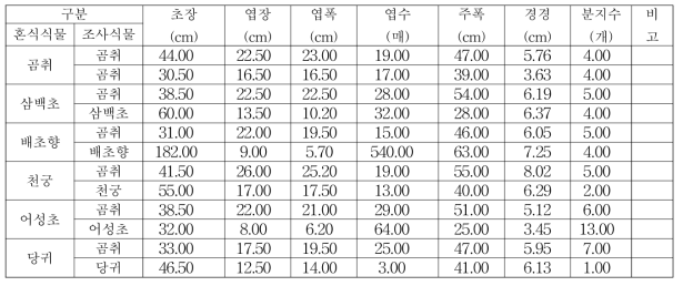 곰취와 혼식 식물체의 생육특성