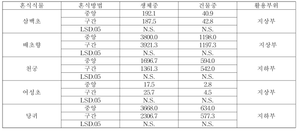 곰취와 혼식한 혼식식물의 수량 특성(2018)