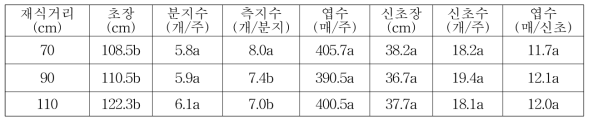 아로니아 재식거리별 정식초기 생육특성(2015)