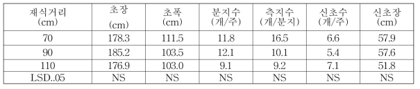 아로니아 재식거리별 생육특성(2017)