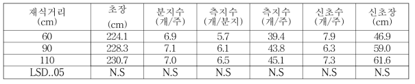 아로니아 재식거리별 생육특성(2018)