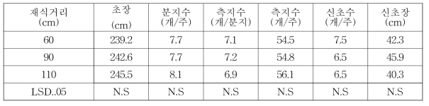 아로니아 재식거리별 생육특성(2019)