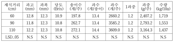 아로니아 재식거리별 과일특성 및 수량(2019)