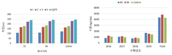 아로니아 재식거리별 년차간 초장 및 수량 비교