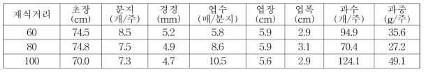 댕댕이나무 재식거리별 생육 및 수량특성(2016)