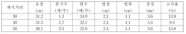 들쭉나무 재식거리별 생육특성(2016)