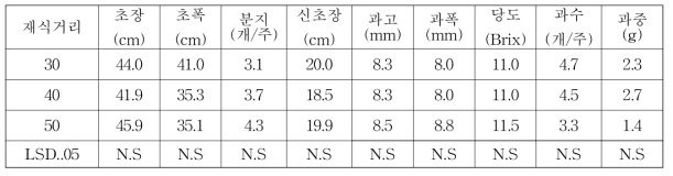 들쭉나무 재식거리별 생육특성(2018)