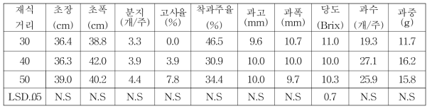 들쭉나무 재식거리별 생육특성(2019)