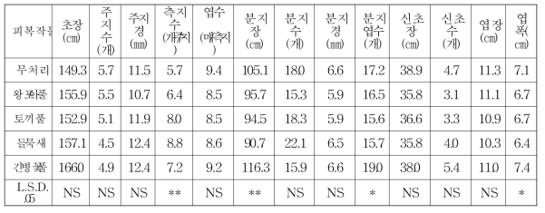 피복작물별 아로니아의 생육특성(2016)