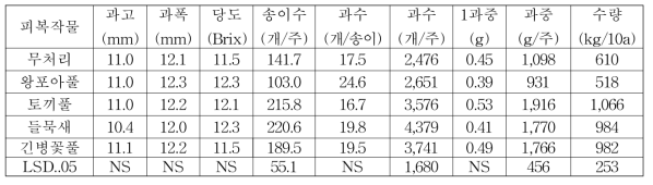 피복작물별 아로니아의 과일 및 수량특성(2017)