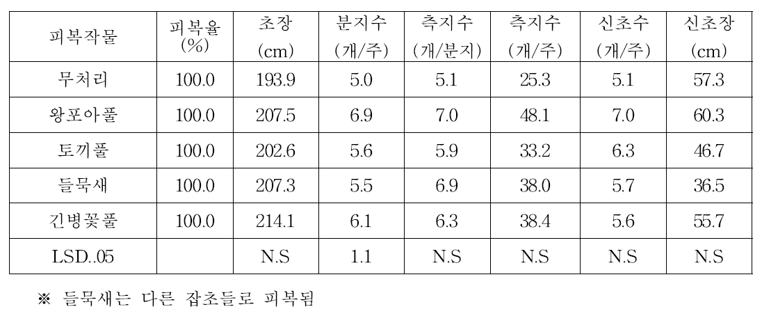 피복작물별 아로니아의 생육특성(2019)