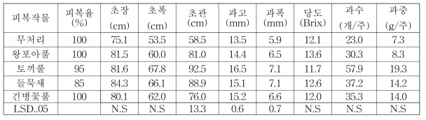 피복작물별 댕댕이나무의 생육특성(2018)