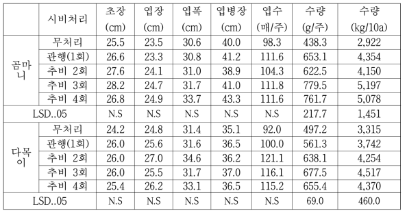 곰취 신품종 추비처리별 생육 및 수량특성(2018, 2년차)