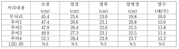 수리취 시비처리시 생육특성(2018, 1년차)