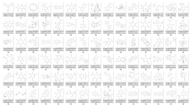 1차 선발한 100 종의 저분자 물질의 구조