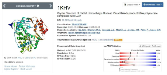 PVY NIb 아미노산 서열과 유산한 단백질의 구조 Template Structure: Rabbit Hemorrhagic Disease Virus RNA-dependent RNA polymerase