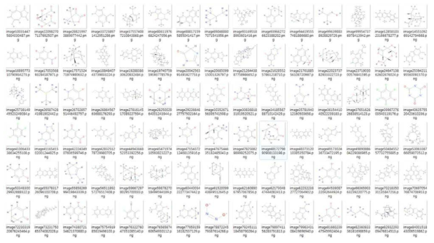 PVY NIb 단백질의 binding site를 저해할 1차 선발된 물질 100종의 구조