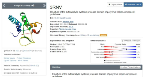 PVY HC-Pro 아미노산 서열과 유산한 단백질의 구조 Template Structure: Protease domain of potyvirus