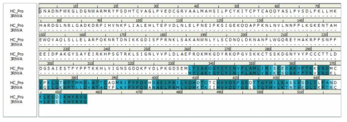HC-Pro 단백질의 아미노산 과 3RNV의 상동성 비교