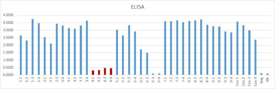 액체배양을 이용한 스크리닝 방법을 통한 처리 후 ELISA 분석 결과