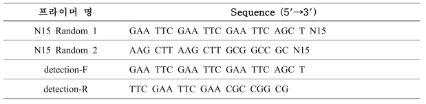 이중 랜덤 프라이머의 염기서열