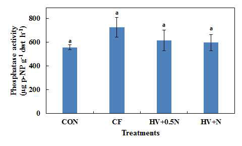 풋거름 처리별 Phosphatase activity 활성