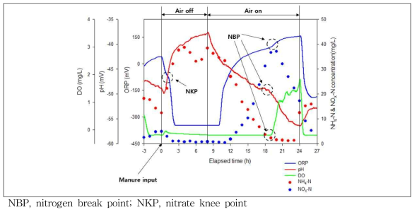 생물반응조 내 질소거동 및 물성변화 진단인자의 time-profile (Track 2)