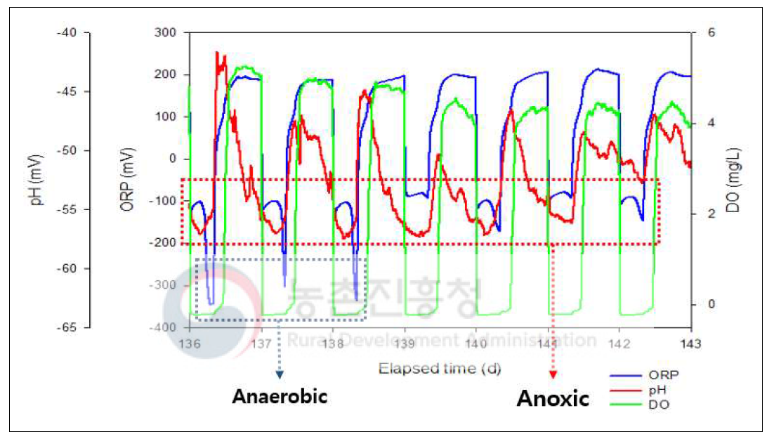 생물반응조 운전에 따른 분뇨 물성변화 진단인자의 time-profile