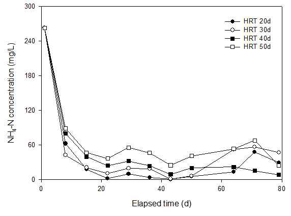 생물반응조 HRT별 생물활성액 내 NH4-N 농도