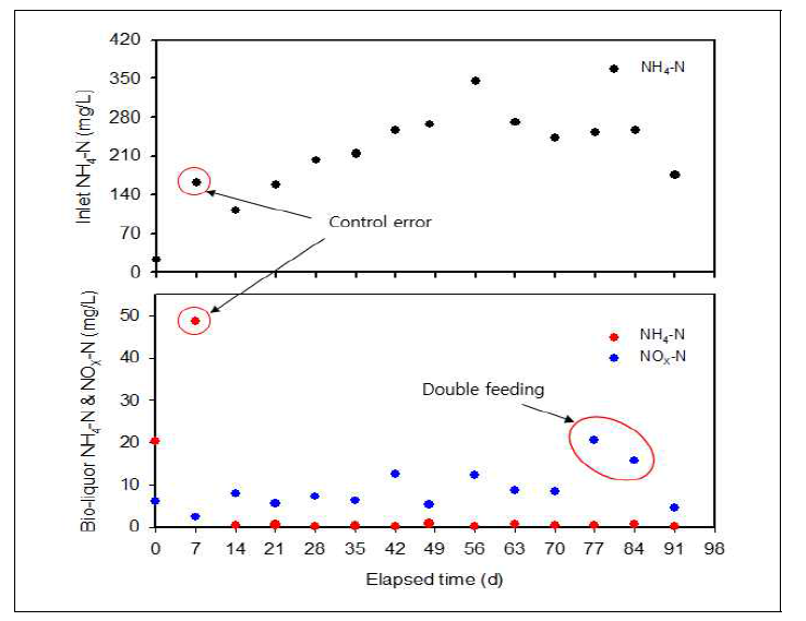 유입원수 및 생물활성액 내 NH4-N과 NOX-N 농도