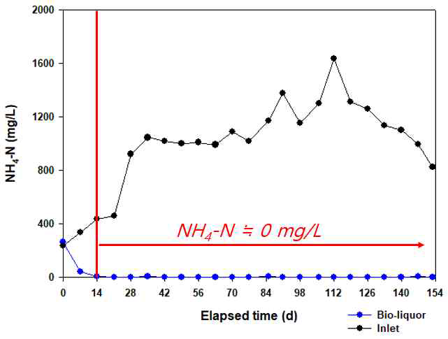 순환시점의 생물활성액 내 NH4-N 농도