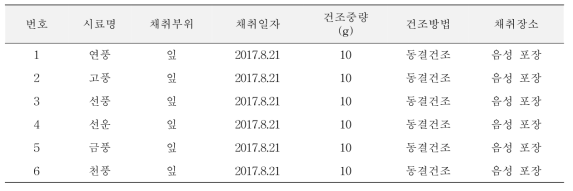 인삼 품종 잎 확보 (6종)