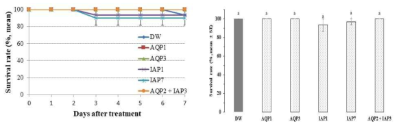 Survival rate(%) of Riptortus pedestris after direct feeding of exogenous dsRNAs (right: survival rates on the sixth day after treatment, Tukey’s HSD test, α = 0.05)