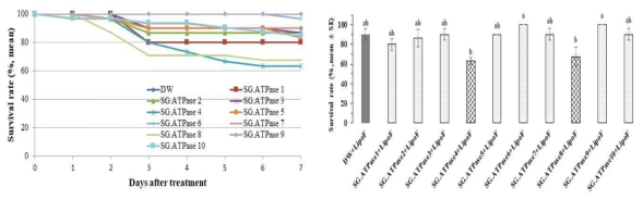 Survival rate(%) of Riptortus pedestris after direct feeding of exogenous dsRNAs with Lipofectamin (right: survival rates on the sixth day after treatment, Tukey’s HSD test, α = 0.05)