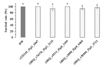 Survival rate(%) of Riptortus pedestris on the sixth day after direct feeding of exogenous dsRNAs (Tukey’s HSD test, α = 0.05)