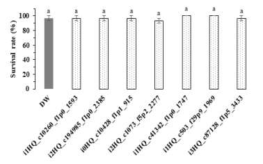 Survival rate(%) of Riptortus pedestris on the sixth day after direct feeding of exogenous dsRNAs (Tukey’s HSD test, α = 0.05)