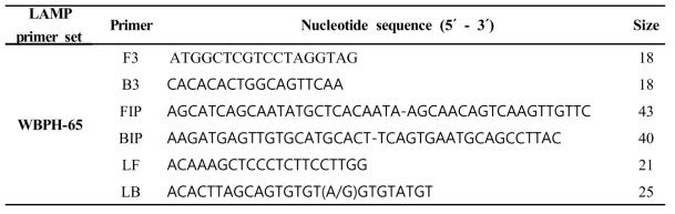 Loop-mediated isothermal amplification (LAMP) primer sets designed in this study to discriminate Sogatella furcifera from other planthopper species