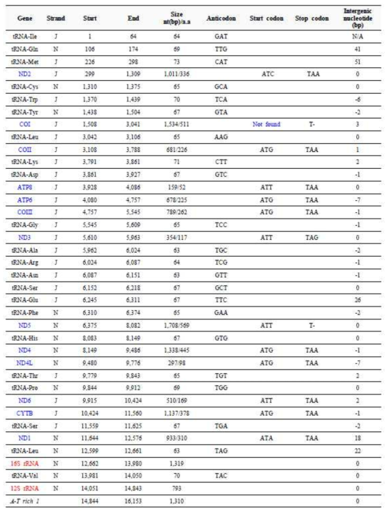 Summary of the complete mitochondrial genome of Micromus angulatus (Stephens, 1836) (Neuroptera: Hemerobiidae)